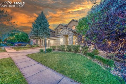 Photo of 5019 Petrified Forest Trail, Colorado Springs, CO 80924 (MLS # 7413226) Photo of 5019 Petrified Forest Trail, Colorado Springs, CO 80924 (MLS # 7413226)
