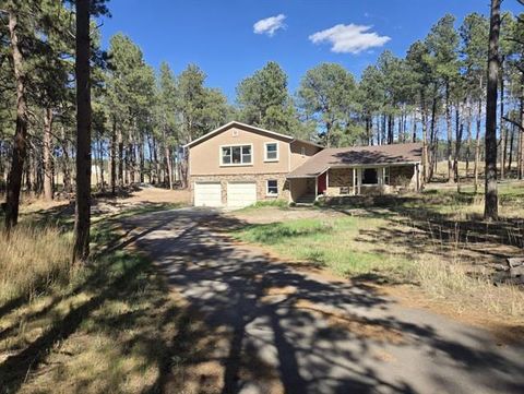 Photo of 13545 Homestead Road, Colorado Springs, CO 80908 (MLS # 4566478)
