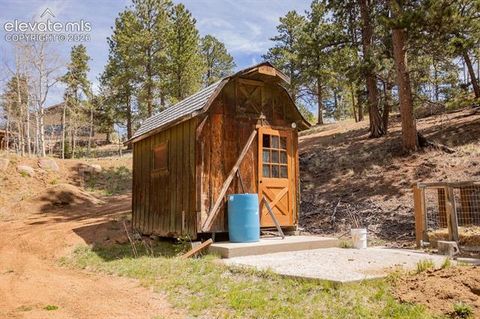 Tiny photo for 45 Valley Circle, Divide, CO 80814 (MLS # 8325643)