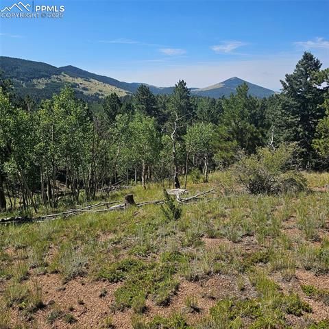Photo of 1398 May Queen Drive, Cripple Creek, CO 80813 (MLS # 5767472)