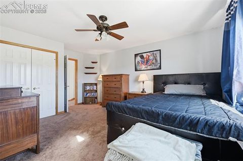 Tiny photo for 715 Struthers Loop, Colorado Springs, CO 80921 (MLS # 4569689)
