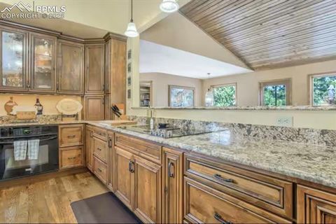 Tiny photo for 310 Tam O Shanter Way, Monument, CO 80132 (MLS # 2632245)