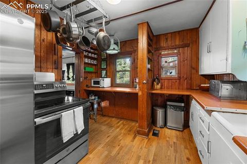 Tiny photo for 9270 Picabo Road, Cascade, CO 80809 (MLS # 5301444)