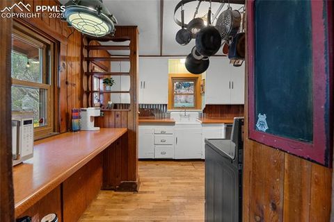 Tiny photo for 9270 Picabo Road, Cascade, CO 80809 (MLS # 5301444)