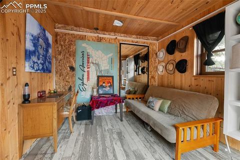 Tiny photo for 9270 Picabo Road, Cascade, CO 80809 (MLS # 5301444)