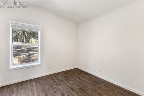 Tiny photo for 1441 Calm Mountain Point, Woodland Park, CO 80863 (MLS # 1708958)