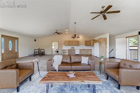 Tiny photo for 115 White Tail Lane, Florissant, CO 80816 (MLS # 2791534)