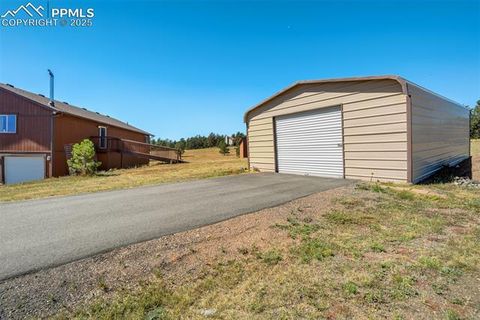 Tiny photo for 115 White Tail Lane, Florissant, CO 80816 (MLS # 2791534)