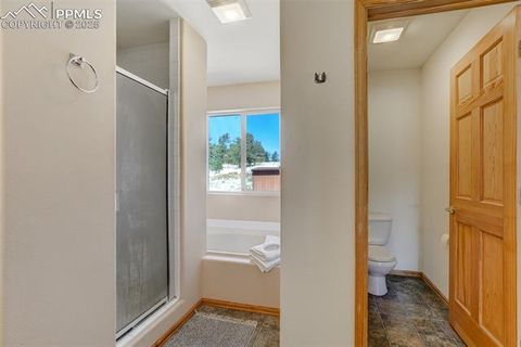 Tiny photo for 115 White Tail Lane, Florissant, CO 80816 (MLS # 2791534)