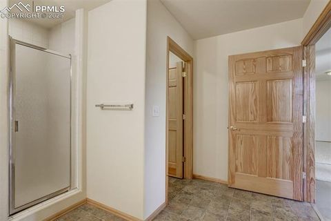 Tiny photo for 115 White Tail Lane, Florissant, CO 80816 (MLS # 2791534)