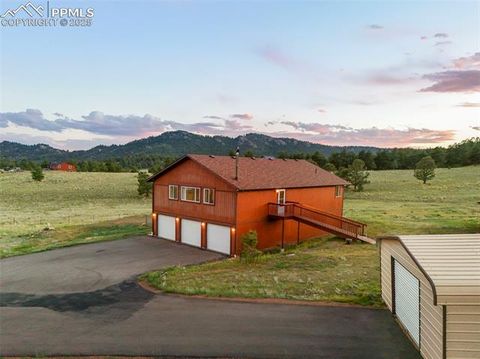 Tiny photo for 115 White Tail Lane, Florissant, CO 80816 (MLS # 2791534)