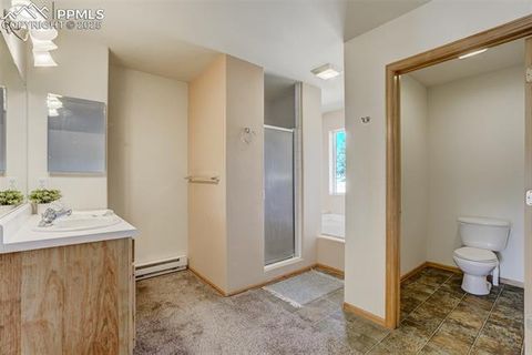 Tiny photo for 115 White Tail Lane, Florissant, CO 80816 (MLS # 2791534)