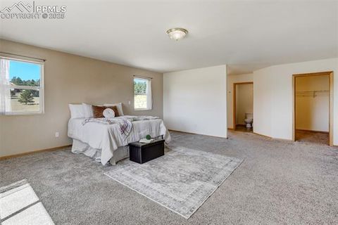 Tiny photo for 115 White Tail Lane, Florissant, CO 80816 (MLS # 2791534)