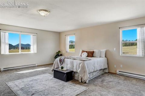 Tiny photo for 115 White Tail Lane, Florissant, CO 80816 (MLS # 2791534)