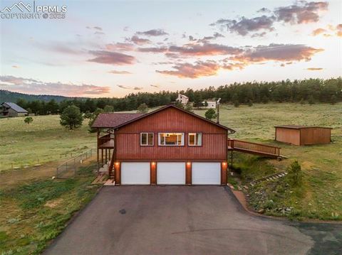 Tiny photo for 115 White Tail Lane, Florissant, CO 80816 (MLS # 2791534)