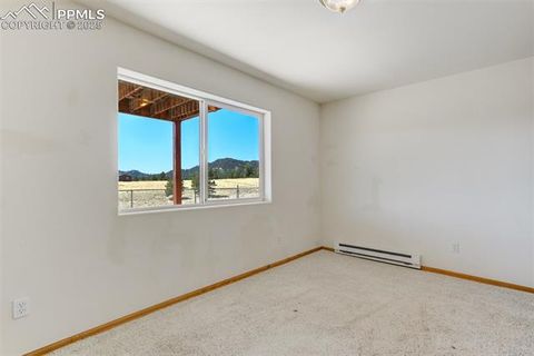 Tiny photo for 115 White Tail Lane, Florissant, CO 80816 (MLS # 2791534)
