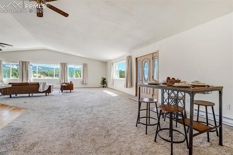 Tiny photo for 115 White Tail Lane, Florissant, CO 80816 (MLS # 2791534)