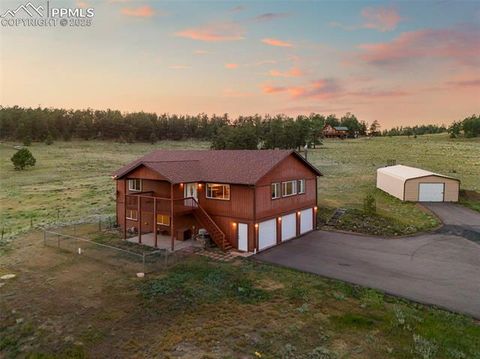 Tiny photo for 115 White Tail Lane, Florissant, CO 80816 (MLS # 2791534)