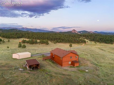 Tiny photo for 115 White Tail Lane, Florissant, CO 80816 (MLS # 2791534)