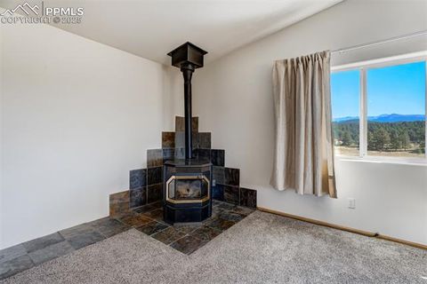 Tiny photo for 115 White Tail Lane, Florissant, CO 80816 (MLS # 2791534)