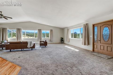 Tiny photo for 115 White Tail Lane, Florissant, CO 80816 (MLS # 2791534)
