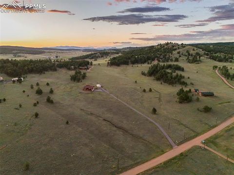 Tiny photo for 115 White Tail Lane, Florissant, CO 80816 (MLS # 2791534)
