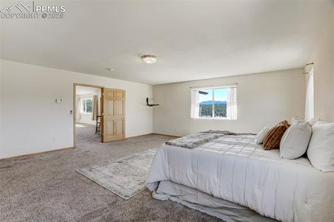 Tiny photo for 115 White Tail Lane, Florissant, CO 80816 (MLS # 2791534)