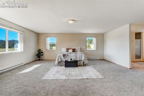 Tiny photo for 115 White Tail Lane, Florissant, CO 80816 (MLS # 2791534)