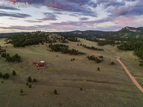Tiny photo for 115 White Tail Lane, Florissant, CO 80816 (MLS # 2791534)