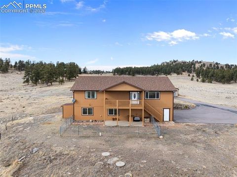 Photo of 115 White Tail Lane, Florissant, CO 80816 (MLS # 2791534)