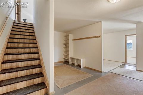 Tiny photo for 115 White Tail Lane, Florissant, CO 80816 (MLS # 2791534)
