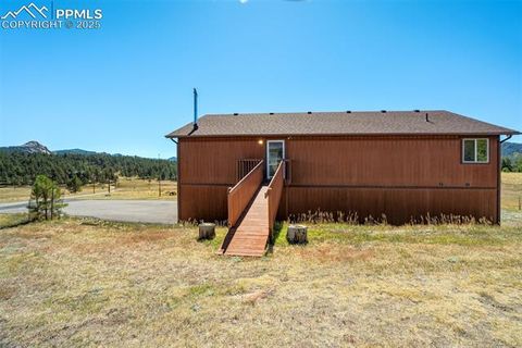 Tiny photo for 115 White Tail Lane, Florissant, CO 80816 (MLS # 2791534)