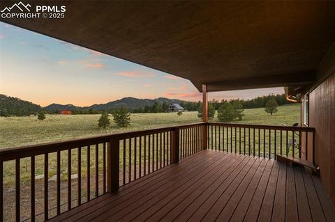 Tiny photo for 115 White Tail Lane, Florissant, CO 80816 (MLS # 2791534)