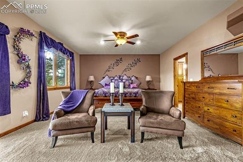 Tiny photo for 791 Skyline Drive, Woodland Park, CO 80863 (MLS # 2246952)