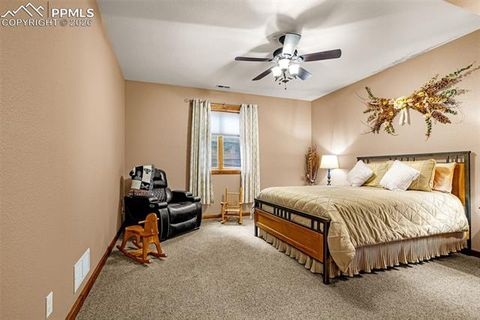Tiny photo for 791 Skyline Drive, Woodland Park, CO 80863 (MLS # 2246952)