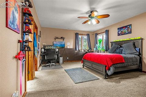 Tiny photo for 791 Skyline Drive, Woodland Park, CO 80863 (MLS # 2246952)