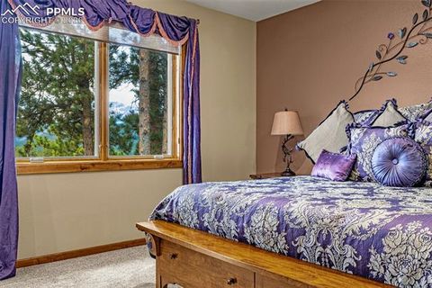 Tiny photo for 791 Skyline Drive, Woodland Park, CO 80863 (MLS # 2246952)