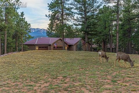 Tiny photo for 791 Skyline Drive, Woodland Park, CO 80863 (MLS # 2246952)