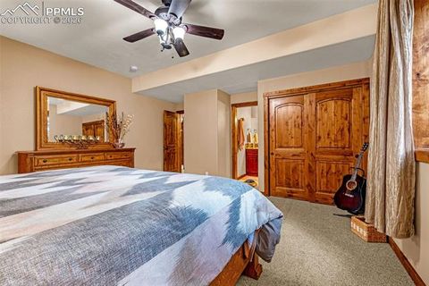 Tiny photo for 791 Skyline Drive, Woodland Park, CO 80863 (MLS # 2246952)