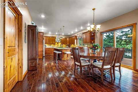 Tiny photo for 791 Skyline Drive, Woodland Park, CO 80863 (MLS # 2246952)