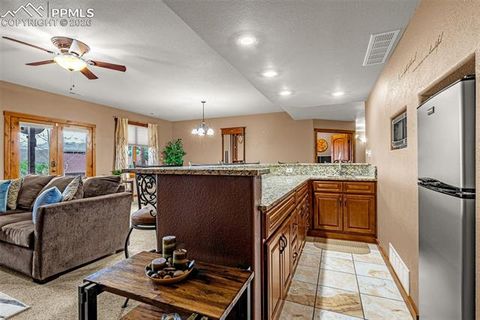 Tiny photo for 791 Skyline Drive, Woodland Park, CO 80863 (MLS # 2246952)