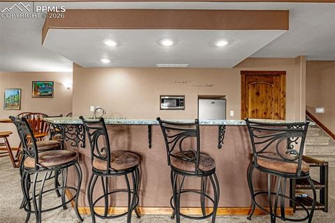 Tiny photo for 791 Skyline Drive, Woodland Park, CO 80863 (MLS # 2246952)