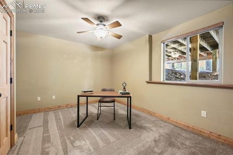 Tiny photo for 1300 W Midland Avenue, Woodland Park, CO 80863 (MLS # 5091079)