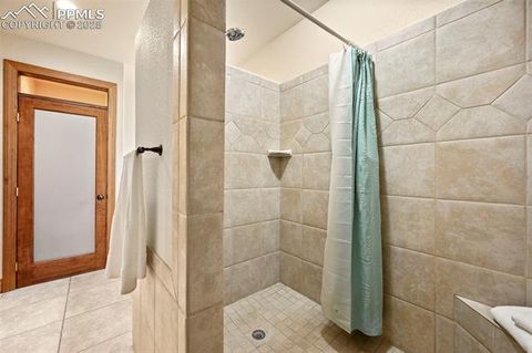 Tiny photo for 1300 W Midland Avenue, Woodland Park, CO 80863 (MLS # 5091079)