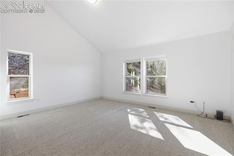 Tiny photo for 1015 Locklin Way, Woodland Park, CO 80863 (MLS # 1666266)