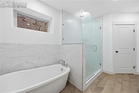 Tiny photo for 1015 Locklin Way, Woodland Park, CO 80863 (MLS # 1666266)