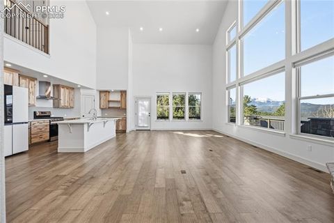 Tiny photo for 1015 Locklin Way, Woodland Park, CO 80863 (MLS # 1666266)