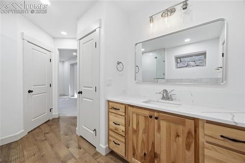 Tiny photo for 1015 Locklin Way, Woodland Park, CO 80863 (MLS # 1666266)