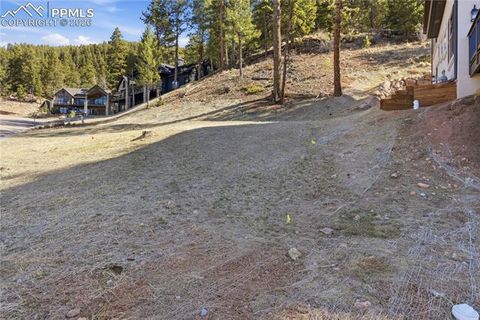 Tiny photo for 1015 Locklin Way, Woodland Park, CO 80863 (MLS # 1666266)