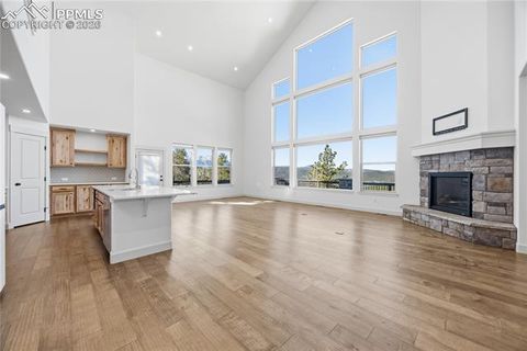 Tiny photo for 1015 Locklin Way, Woodland Park, CO 80863 (MLS # 1666266)